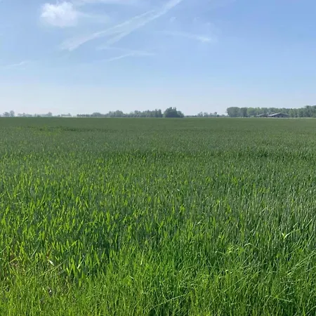 Coastal Duplex With Balcony Nieuport