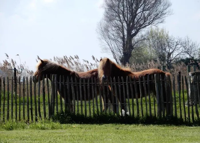 Coastal Duplex With Balcony
