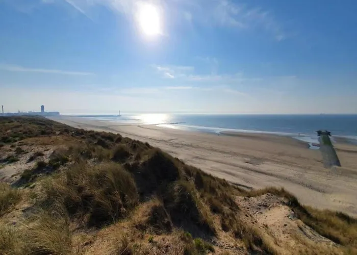 Apartment Coastal Duplex With Balcony *