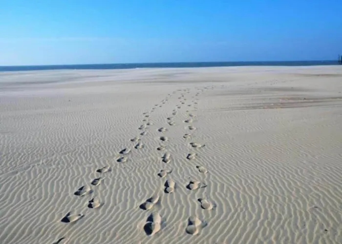 Coastal Duplex With Balcony Apartment *